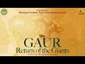 Gaur - Return of the Giants | Full Movie | Reintroduction of Gaurs in Sanjay Tiger Reserve