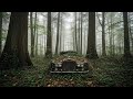 Lost for 80 Years in the Forest 🌲 | Abandoned Rolls-Royce Full Restoration ASMR  