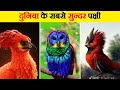Amazon में पाए जाने वाले सबसे खूबसूरत पक्षी | Most Beautiful Birds of Amazon