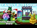 How To Get All Crafting Recipe For CANDY BLOSSOM Seed in Grow a Garden