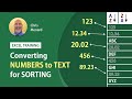 Excel Converting Numbers to Text for Sorting