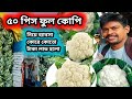 ৫০ পিস ফুলকোপি একটুর জন্য লসের হাত থেকে বেচে গেলাম || wholesale vegetable market #fulkopi 