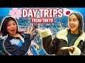 TOP 17 Day Trips from Tokyo - Mountains, Beaches, Old Japan \u0026 More!