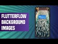 How to add a background image in Flutterflow