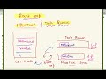 Event loop in Javascript, Microtask and Task Queue | Asynchronous JS |