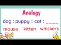 Analogy (with Activity)