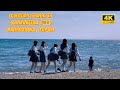 4k hdr japan travel 2024 | 3 Hours Walk in Kamakura（鎌倉）Kanagawa japan |  Relaxing Natural ambience