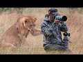 When the animals suddenly appeared  When Wild Animals Surprised Photographers