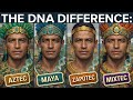 Aztec, Maya, Zapotec, Mixtec: What DNA Actually Separates Them?