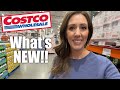 ✨COSTCO✨ What’s NEW this week! || New Arrivals at Costco - February 2026!!