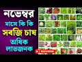 নভেম্বর মাসে কি কি সবজি চাষ করা যায় দেখুন? লাভজনক ১০টি সবজি চাষ পদ্ধতি সম্পর্কে জেনে নিন?Sobji chas