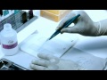 DNA Fragmentation Test Procedure - Sperm360