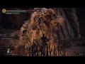 ELDEN RING NG+ / Erdtree Avatar / Deeproot Depths