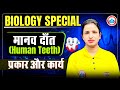 Human Teeth : Types \u0026 Word | Biology For Competitive Exams | Biology Easy Tricks | By Bhawna Mam