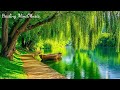 Gentle music calms the nervous system and pleases the soul 🌿 Relaxing Music to Reduce Stress