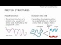 Chapter 2.3: Biological Molecules - Proteins