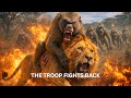 IMPOSSIBLE FIGHT: When Baboons Attack Lions | Rise of the Troop | Wild Documenrty