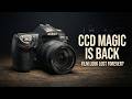 Top CCD Cameras That Made Digital Photography Feel Like Film!