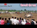 All videos of bullock cart race competition Uda Harda.oxrace. bailgadi Doud. indian cow. khillar ...