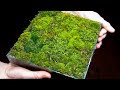 Making a Moss Garden from Scratch (Satisfying \u0026 Relaxing)