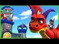 Episodios de rescates de caballeros de La Patrulla de Cachorros y más - PAW Patrol Episodio Español