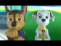 PAW Patrol Pups Gumball fan animation by Studio Tybsy - Chase's Weird Request