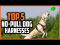 ✅ Top 5 Best No Pull Dog Harnesses of 2024