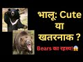 भालू जंगल के सबसे खतरनाक या Cute जानवर | Bears Facts जो आप नहीं जानते होंगे!