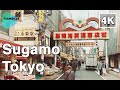 【4K】🇯🇵🗼Walking around Sugamo Station (巣鴨駅) in Toshima City🎧, Tokyo, Japan