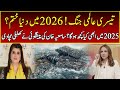 End Of World | Astrologer Samiah Khan's Shocking Prediction | Rise \u0026 Shine | 365 News | EB23