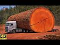 Inside the Mega Timber Factory | From Massive Logs to Breathtaking Luxury Tables