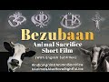 Bezubaan Film | Maana Bezubaan Hoon Film | Bakrid Short Film | Eid Ka Chand Shortfilm | Movie Era