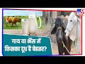 Cow और Buffalo के दूध में कौन सा दूध आपके लिए बेहतर, जानिए क्या है दोनों में पोषक तत्वों की मात्रा?