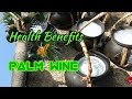 Palm wine/Toddy/Kallu/Tadi/Neera ~ Health Benefits| Best Healthy Wine.