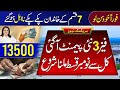 Benazir Kafalat 13500 Check | Ehsaas Program | BISP New Payment Start | 8171 Update | Bachon K Paise