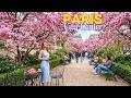 7 March 2026 ☀️ Paris City Center | Cafés, Pastries Tour \u0026 Spring walk | 4K Paris Walk