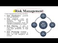Risk Management in Software Engineering