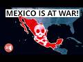 How Mexico was destroyed by Cartels