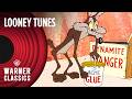 Looney Tunes | Classic Wile E. Coyote \u0026 Road Runner Compilation | Vol. 2 | Warner Classics