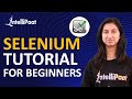 Selenium Tutorial for Beginner | Selenium Webdriver Tutorial | Selenium Tutorial | Intellipaat