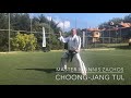 Choong-Jang tul performed by Master Ioannis Zachos, VIII Degree