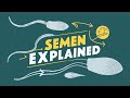 Semen Explained : Scientific Process Of Semen Formation | Virya Kaise Banta Hai? | Semen From Food
