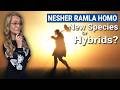 Nesher Ramla Homo: New Human Or Hybrid?
