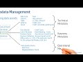 Metadata Management \u0026 Data Catalog (Data Architecture | Data Governance)