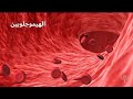 بروتين الهيموجلوبين 🧬