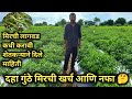 उन्हाळी मिरची लागवड कधी करावी | दाह गुंठे मिरची लागवड करून शेतकऱ्यांनी किती नफा झाल