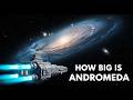 The Terrifying Truth About Our Size in the Universe (Brace Yourself)