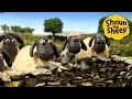 🐑💥 Shaun the Sheep’s Silliest Adventures! – Kids Cartoons | Funny Moments Compilation [1 Hour]