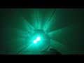 Freediving Nemo 33