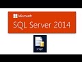 How to export script and data in sql server 2014